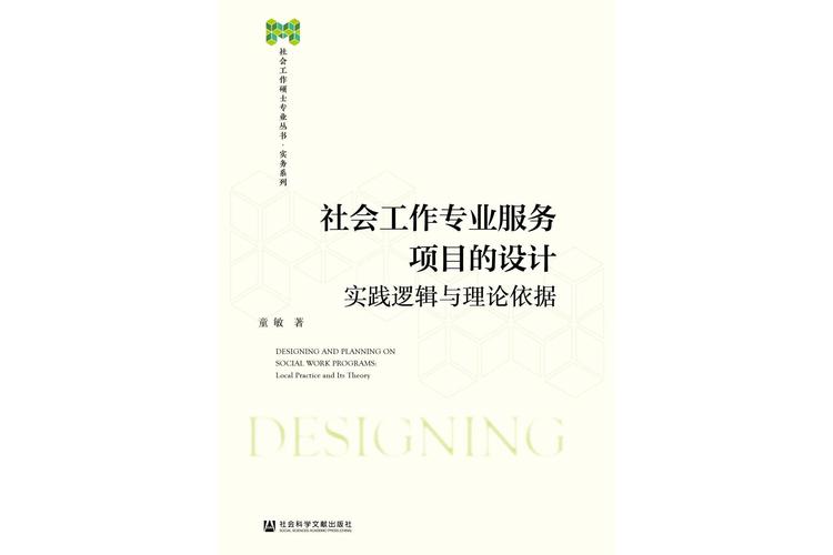 社会工作专业服务项目的设计 从需求到成效的系统性专业实践